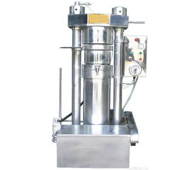 自动液压榨油机 宁波液压榨油机 亚达机械